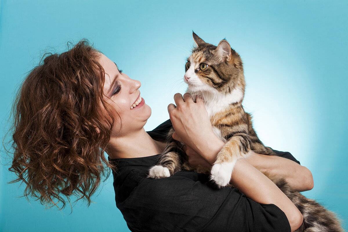Как узнать, кого в семье больше любит кошка
