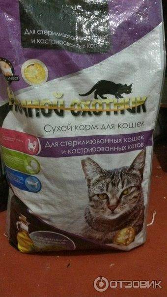 Мифы и правда о классах кормов — сравним качество брендов