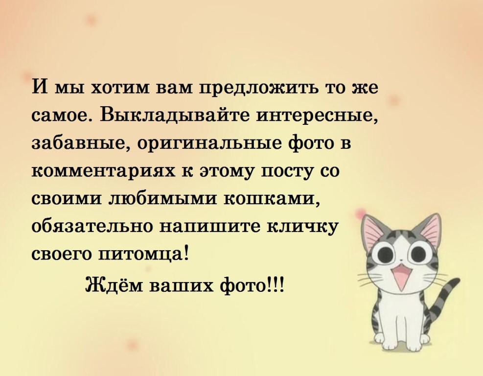 Всемирный день кошек 2021: когда празднуют в россии и мире - 1 марта? история, традиции