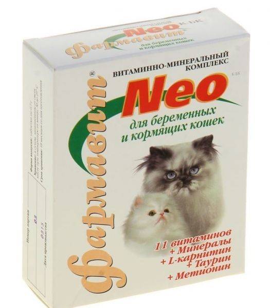 Лучшие витамины для кошек