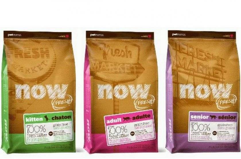 Now fresh корм для кошек: обзор линейки и состав