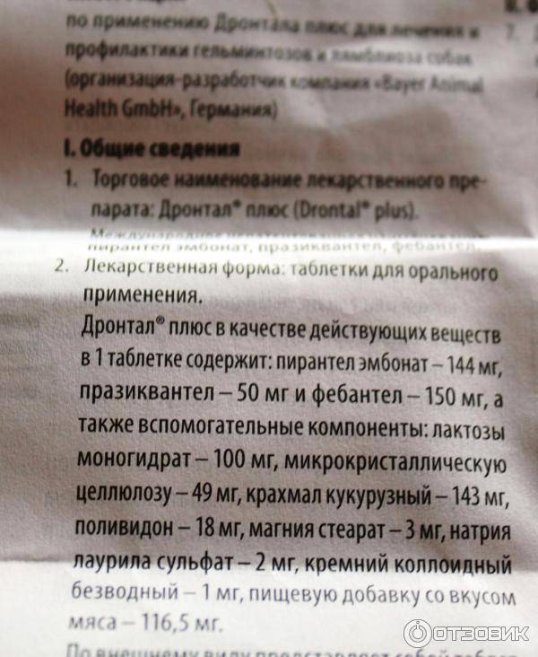 Как правильно давать дронтал для кошки: способ применения, обзор инструкции