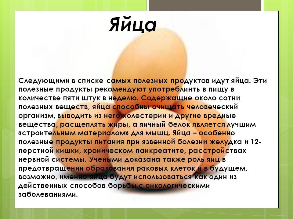 Можно ли давать яйца собакам