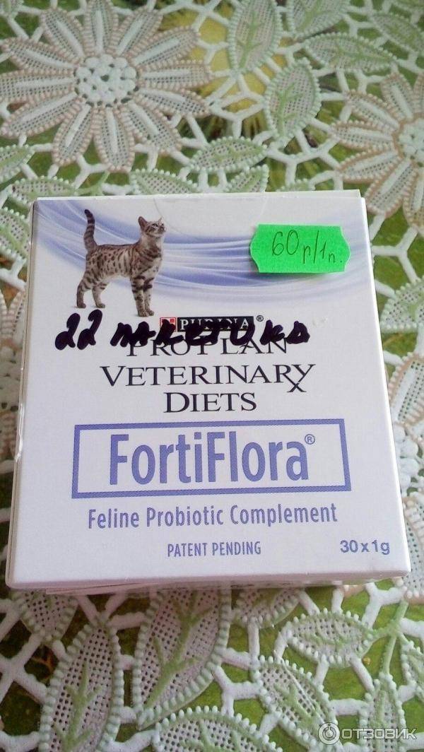 Фортифлора для кошек противопоказания