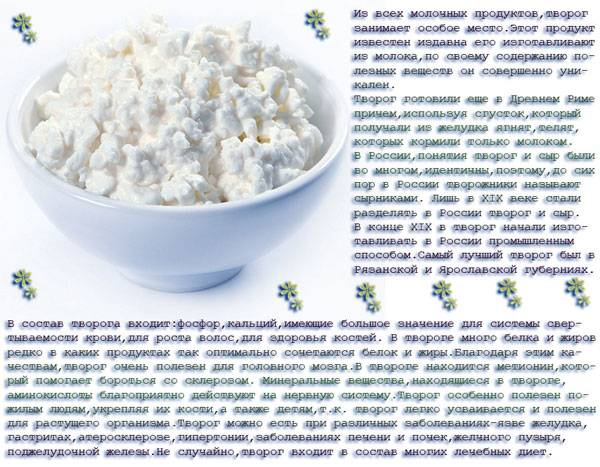 Чем нельзя кормить кошек: список запрещенных продуктов | звери дома