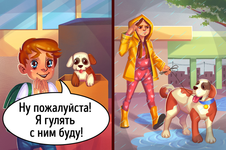 12 ошибок при покупке питомца, которые испортят жизнь обоим