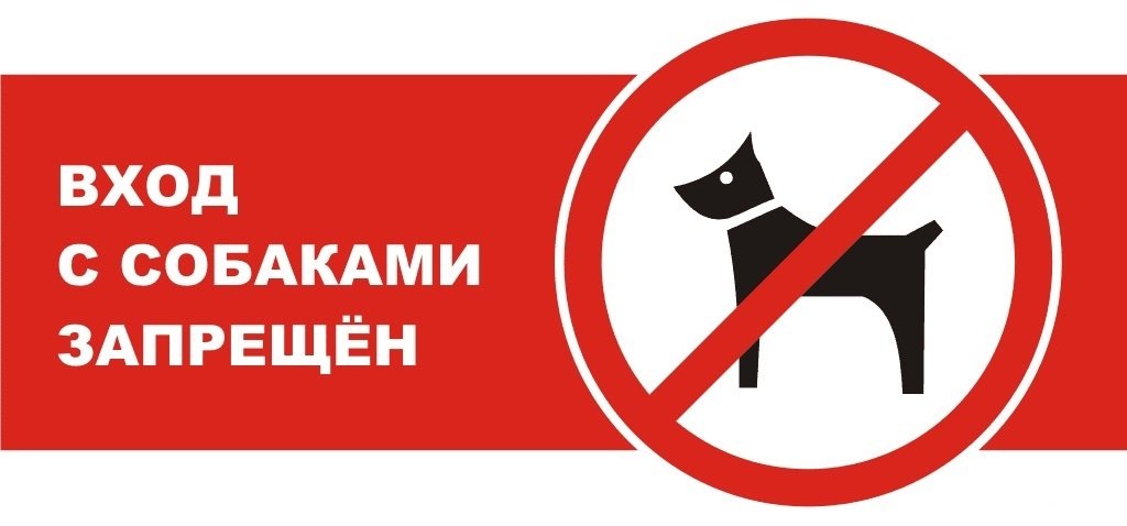 Можно ли заходить в магазин с собакой?