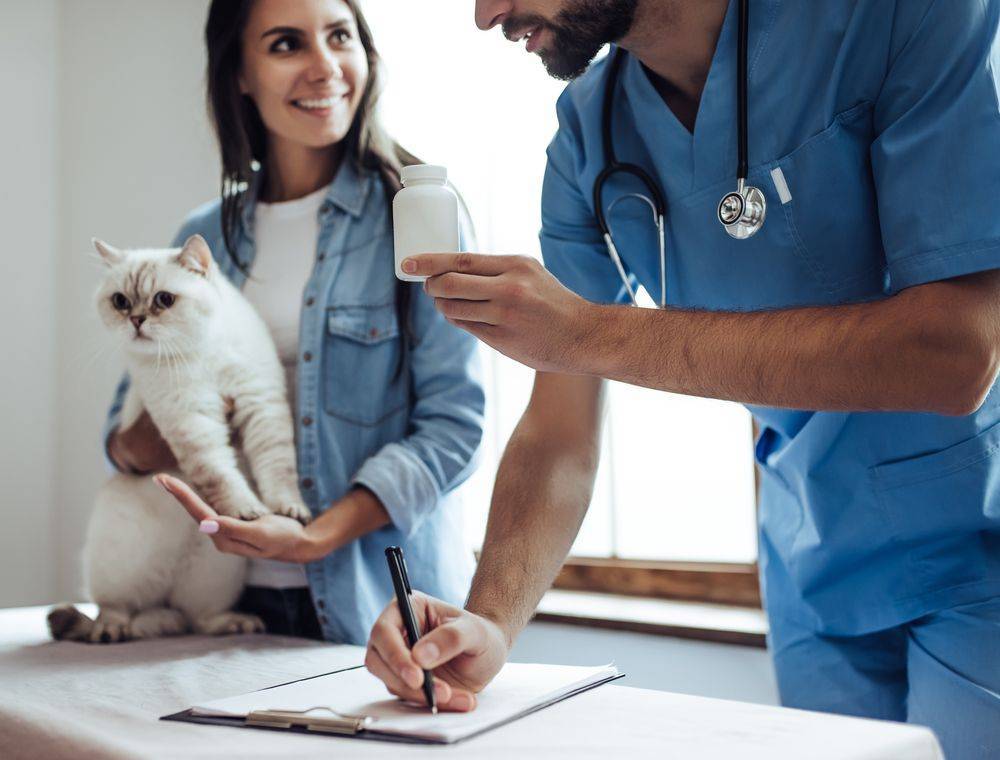 Ветеринар - вся правда о профессии - "добрый-совет.ru"