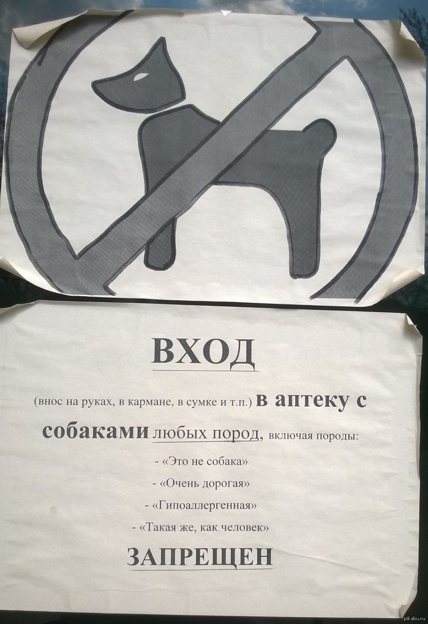 Вход запрещен: почему в магазины нельзя заходить с собаками