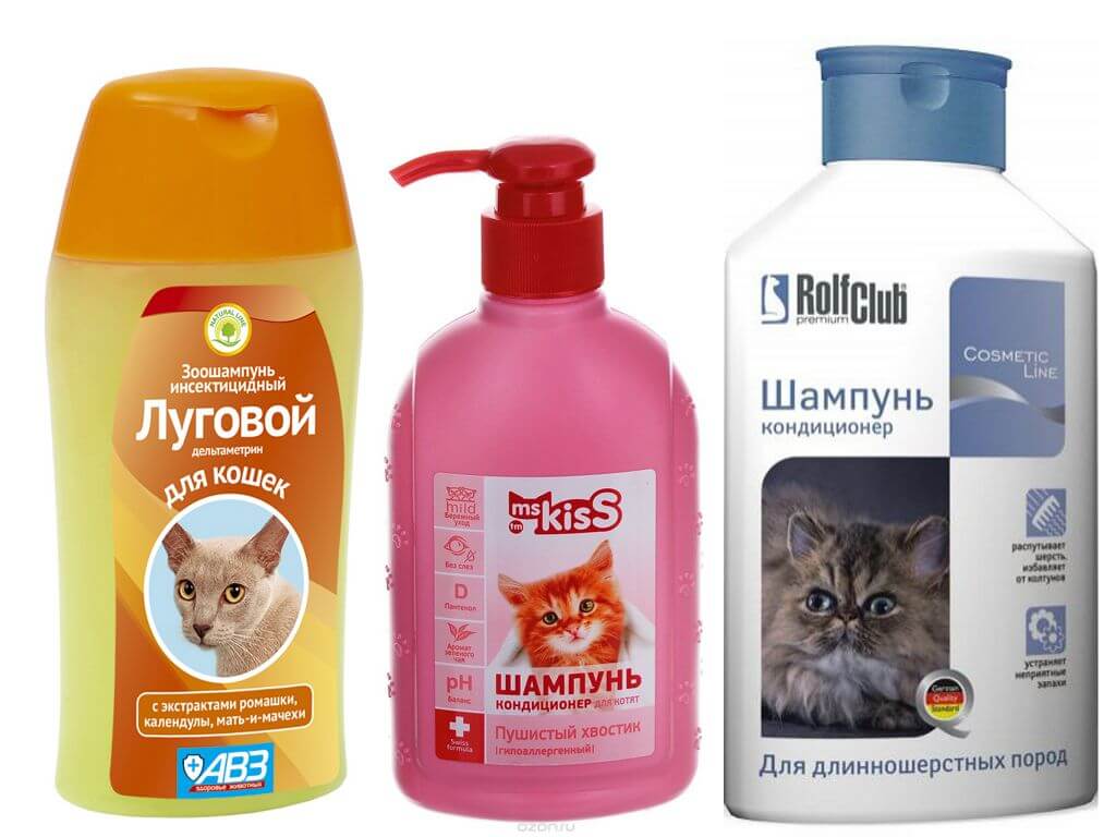 Шампунь от блох для кошек: обзор лучших и средние цены по россии русский фермер