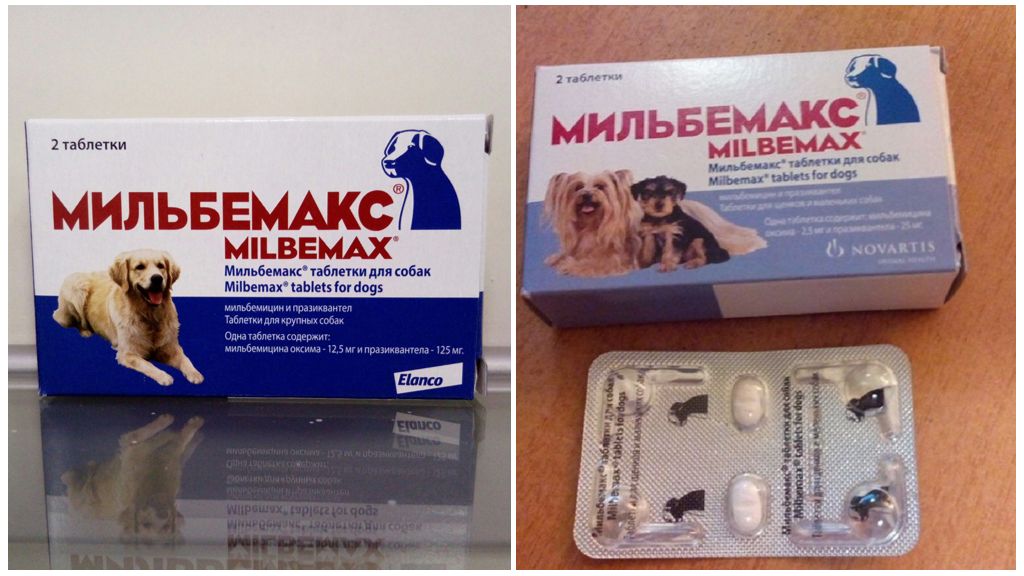 Что можно собаке обезболивающее. Препарат для дегельминтизации собак Мильбемакс. Мильбемакс для собак от 5 кг. Таблетки от глистов для собак мильбемицин. Препарат от глистов для собак Мильбемакс.