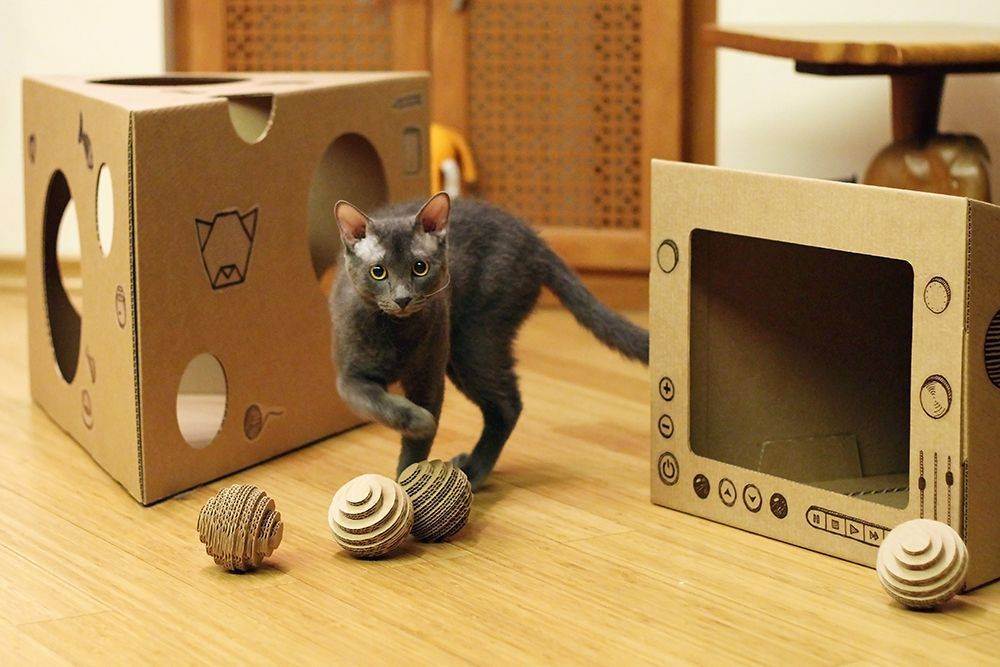 Как быстро сделать игрушку для кота из подручных средств