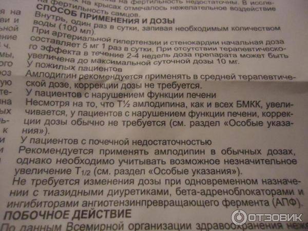 Амлодипин для кошек: ограничения, отрицательные эффекты