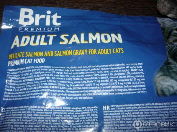 Brit care корм для кошек: 6 популярных видов, отзывы