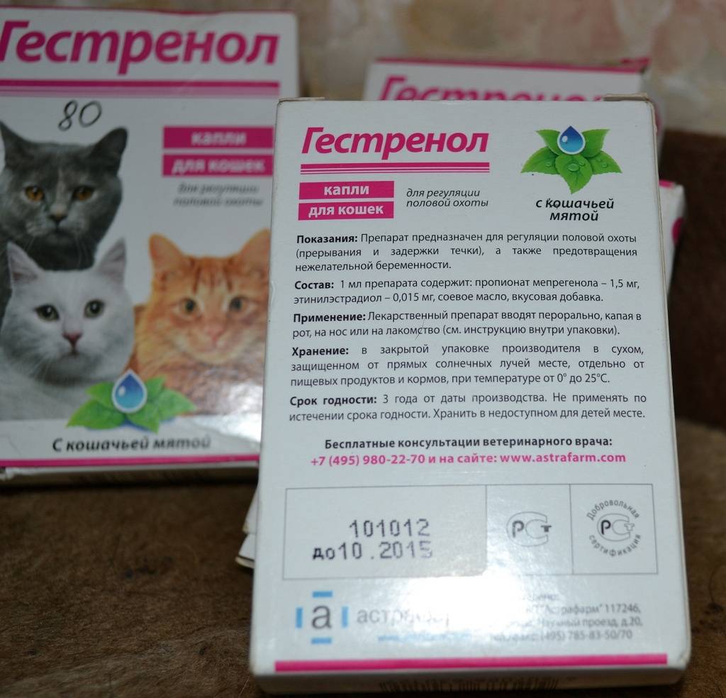 Лекарственный препарат гестренол. успокоительное средство или кошачий контрацептив?