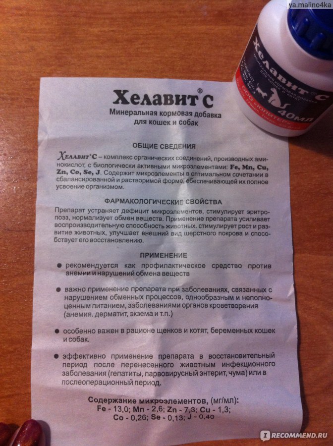 Хелавит с для кошек: инструкция по применению, показания и противопоказания, аналоги, отзывы