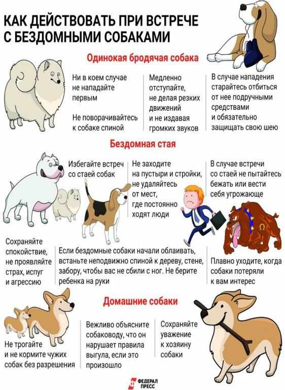 Как защититься при нападении собак