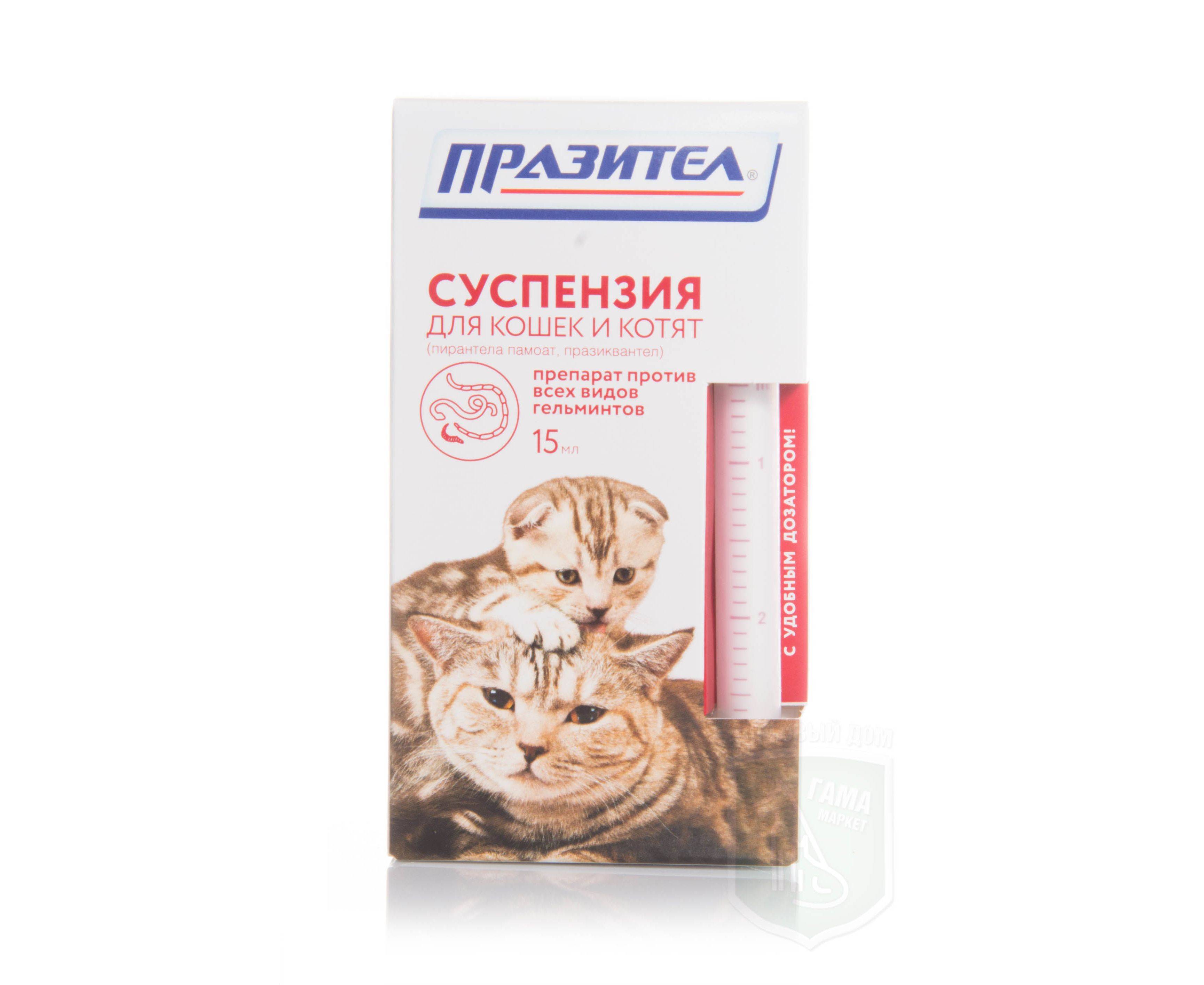 Суспензия от глистов для кошек: эффективные средства, дозировка