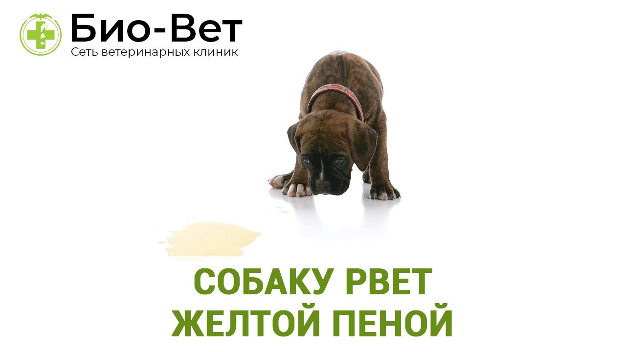 Острая кишечная инфекция у детей - виды, причины развития, симптомы, диагностика и лечение | см-клиника