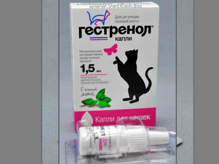 Капли для кошек гестренол: применение и отзывы ветеринаров