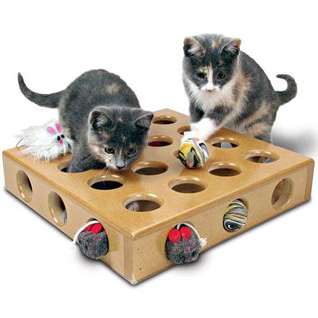 Игрушки для кошки, кота, котенка: что купить, как сделать самостоятельно