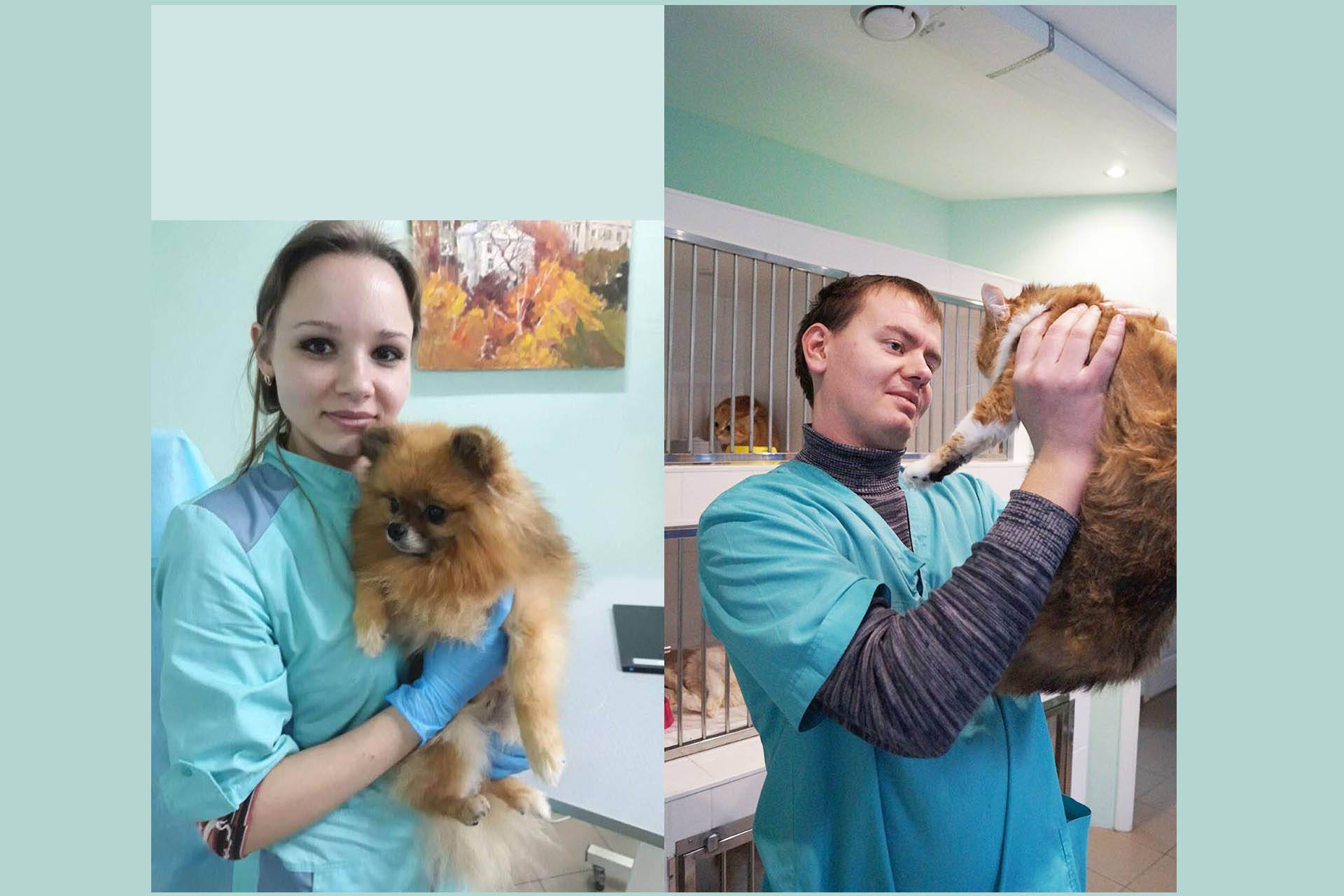 Лечение домашних животных в москве: цены, отзывы и адреса