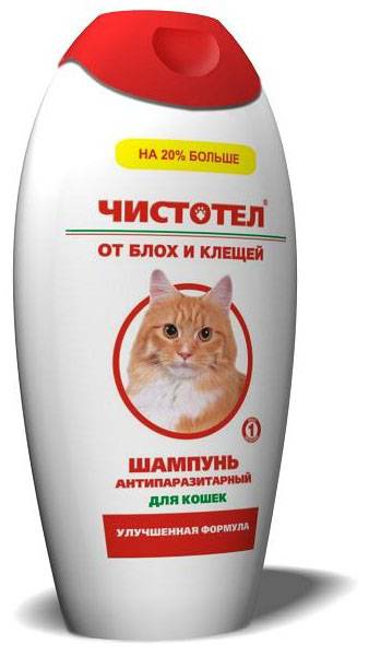 Шампуни от блох для кошек и собак: обзор популярных средств и инструкции по правильному применению