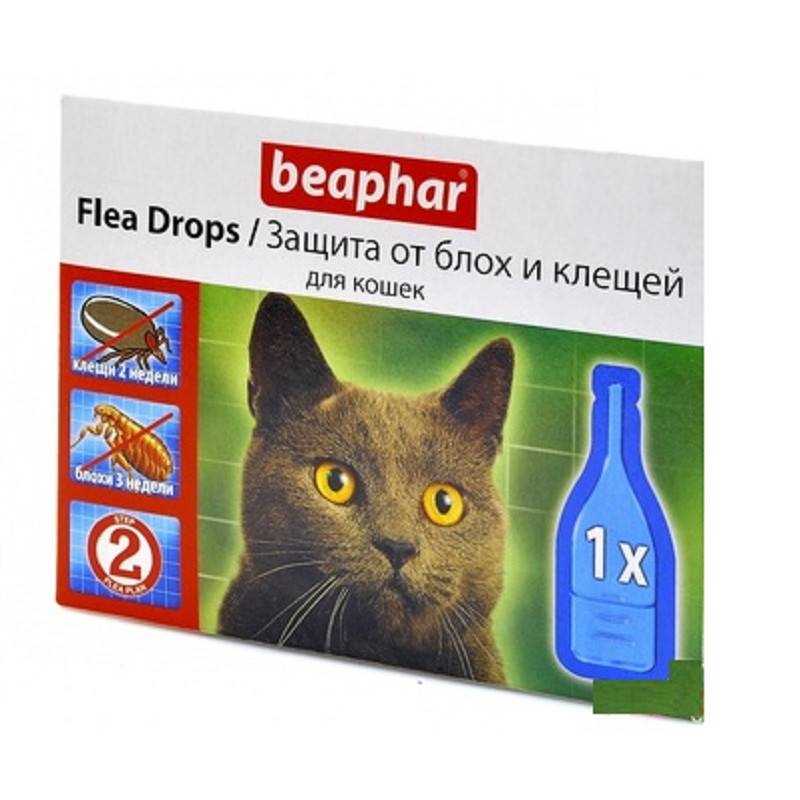 Капли на холку от глистов для кошек: эффективные препараты и их дозировка
