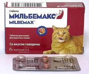 Как вывести у кошки глистов: лечение питомца в домашних условиях препаратами и народными средствами