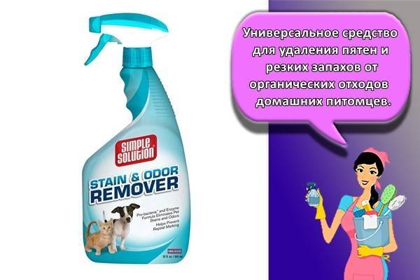 Как избавиться от запаха кошачьей мочи в квартире: 17 лучших средств для устранения вони