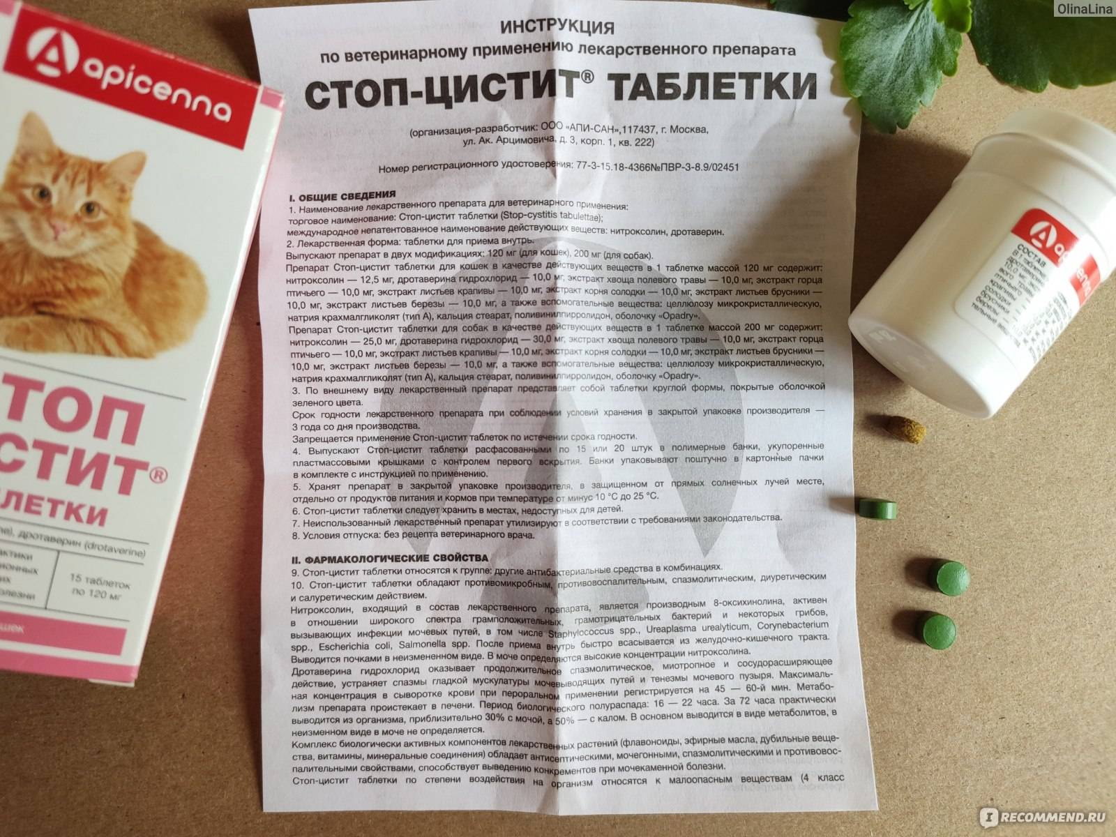 ᐉ сколько давать коту стоп цистит - zmclinic.ru