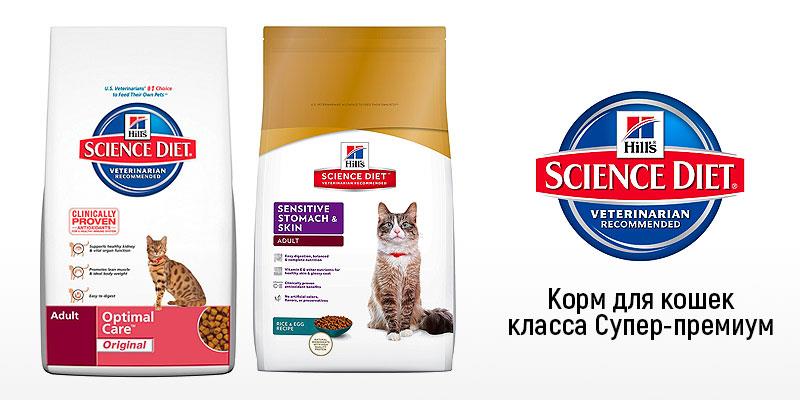 Самый хороший сухой корм для кошек по мнению ветеринаров: рейтинг лучших