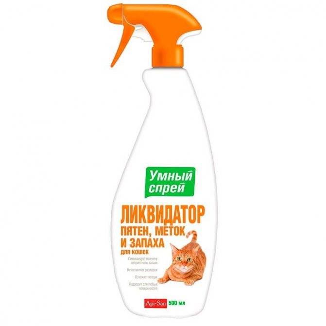 Запах от меток кота: как убрать эффективно