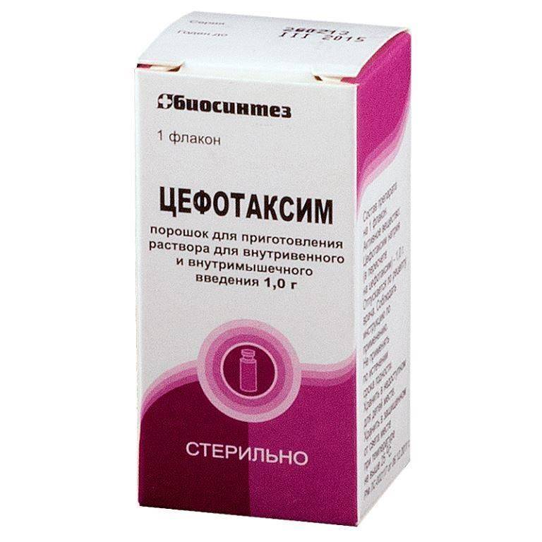 Цефотаксим побочные действия у собак