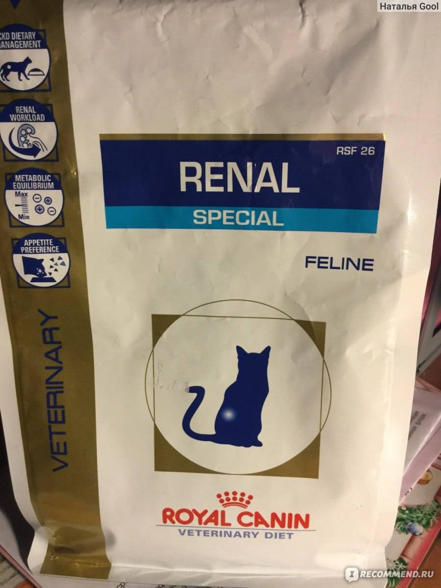 Все о корме для кошек royal canin renal : описание, фото- и видеообзор
