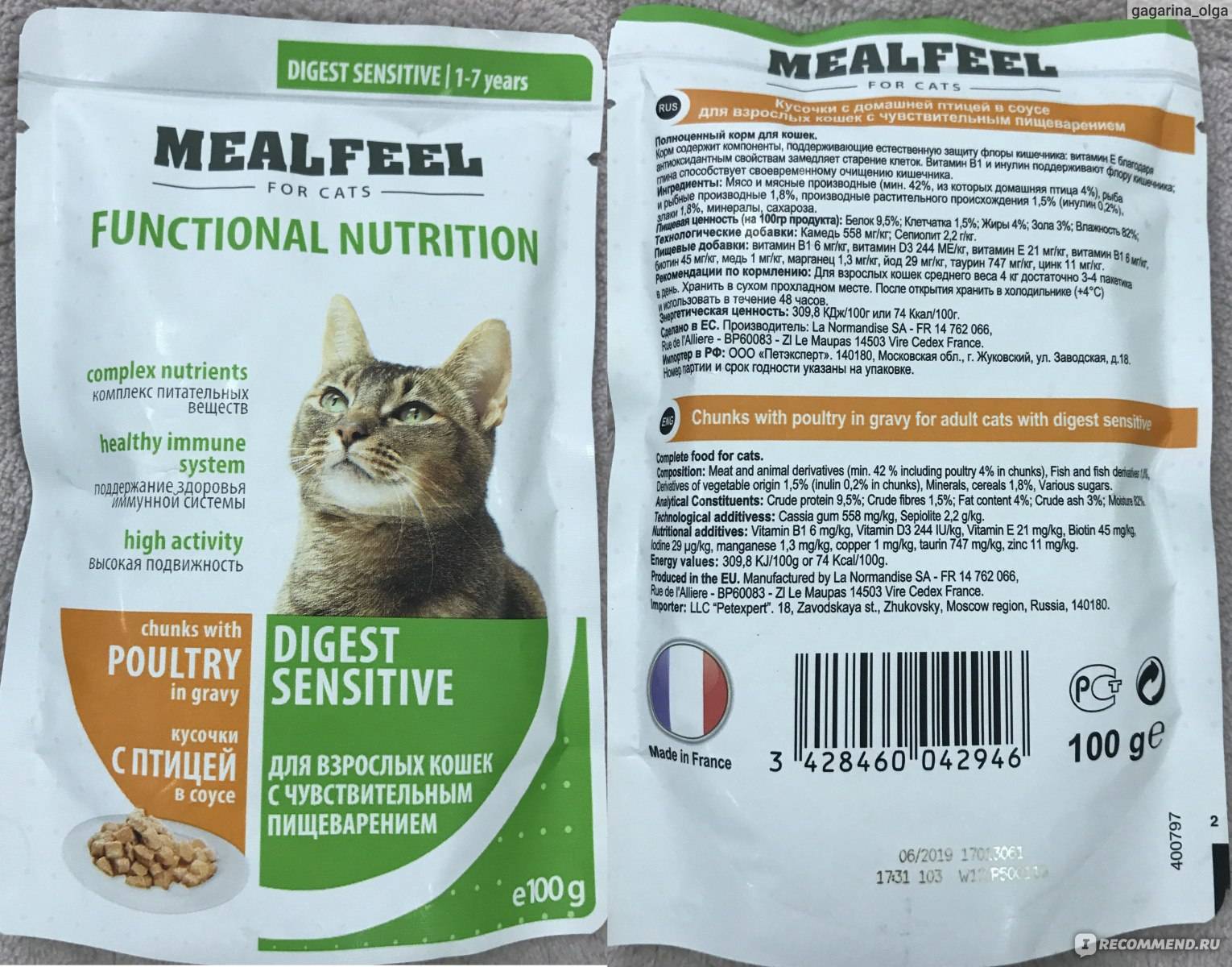 Сравнение и анализ кормов для кошек по составу: какие ингредиенты входят в корма разных классов, их соответствие потребностям животного
