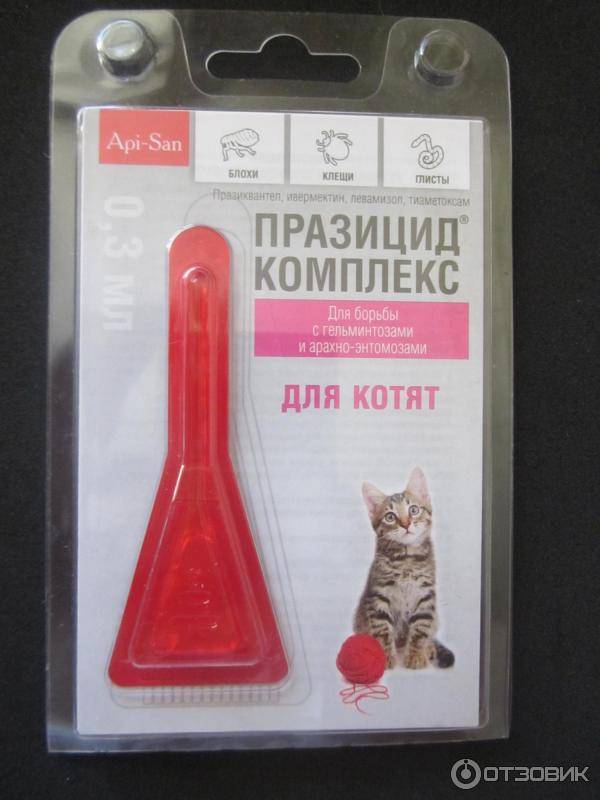 Инспектор - капли для кошек: инструкция по применению, аналоги, состав
