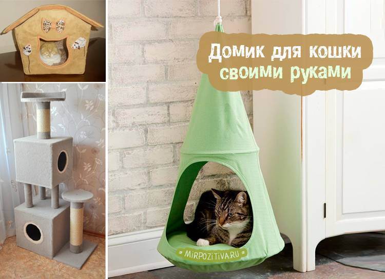 Как сделать домик для кошки своими руками из поролона, старой футболки или свитера за 15 минут?