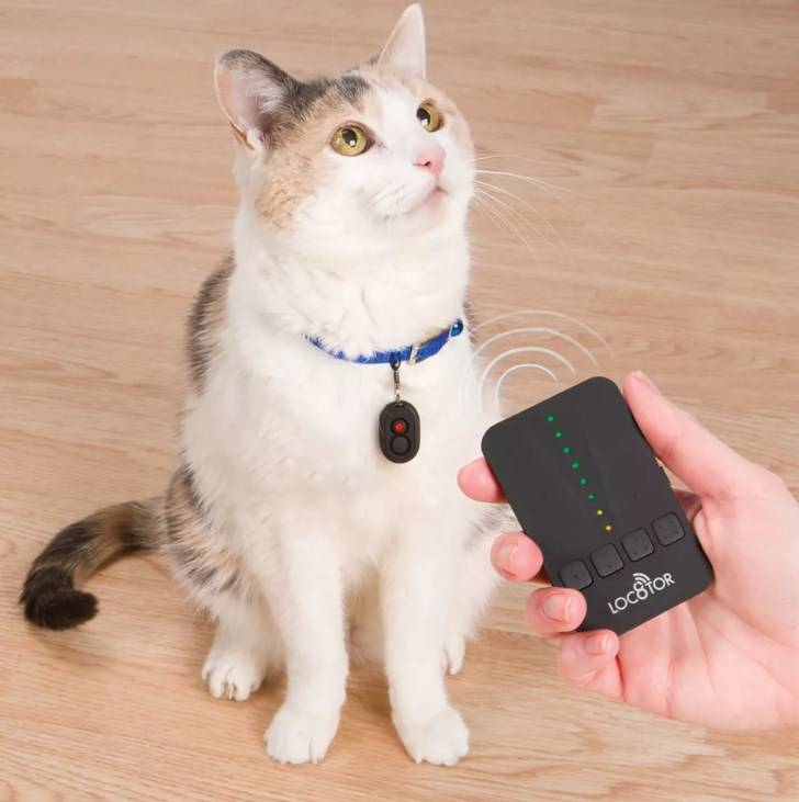 GPS ошейник для кошек (трекер): какой самый маленький