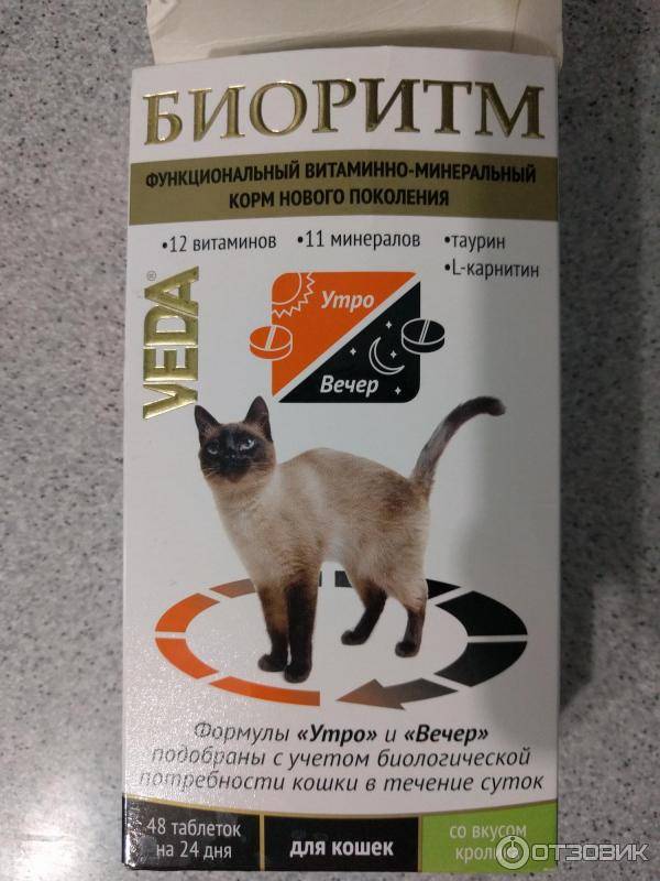 Нужно ли включать витамины в рацион домашней кошки