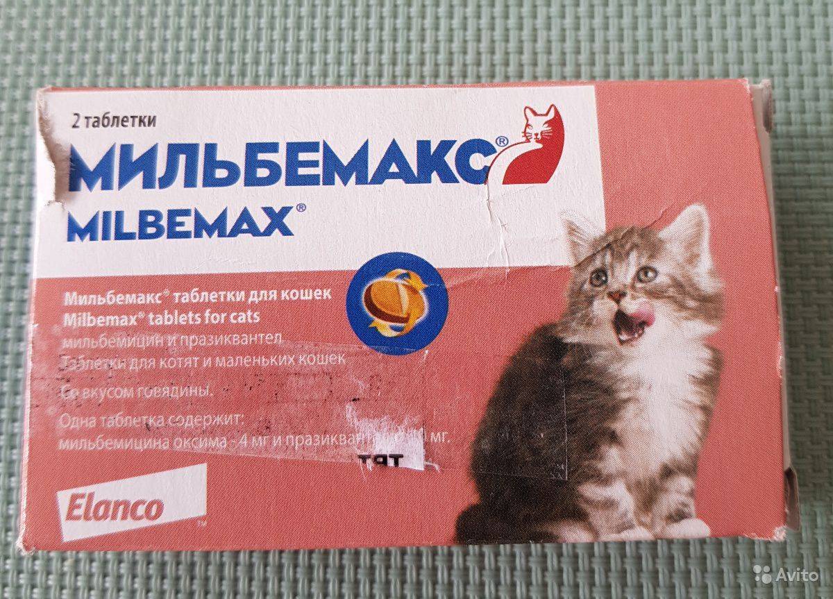 Способ применения таблеток от глистов мильбемакс для кошки