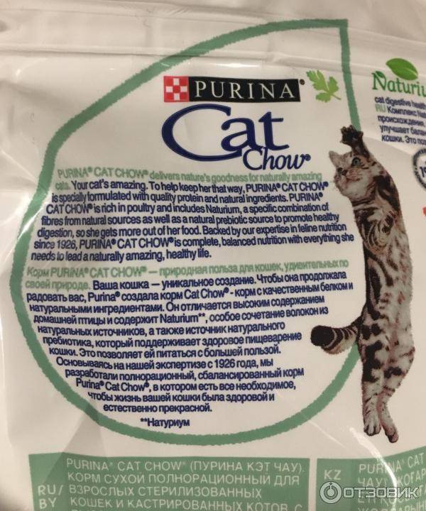 Рейтинг кормов для стерилизованных кошек и кастрированных котов: какие сухие продукты лучшие?