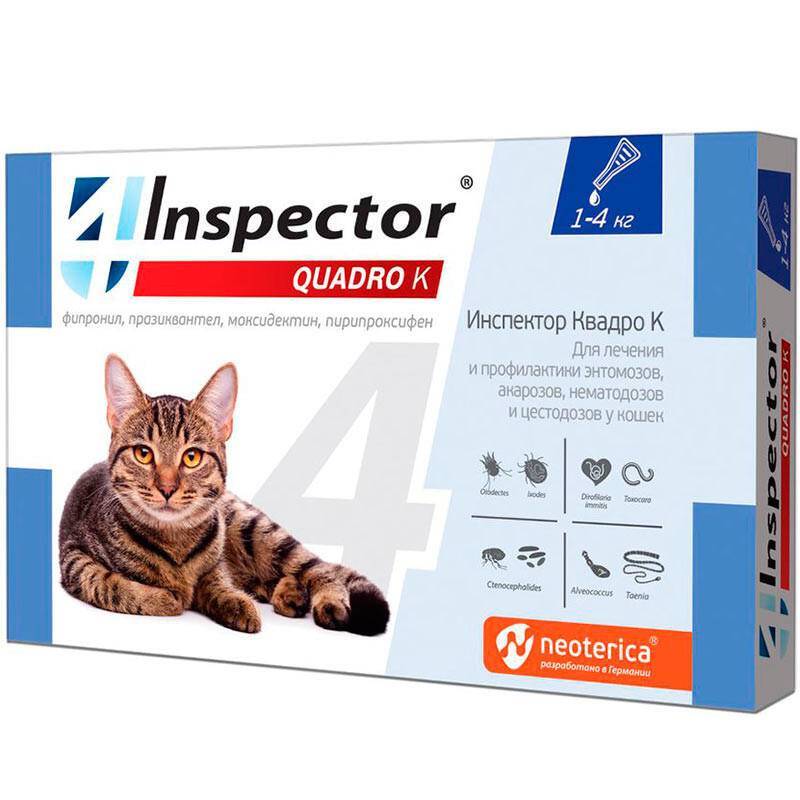 Капли инспектор для кошек: инструкция по применению и отзывы