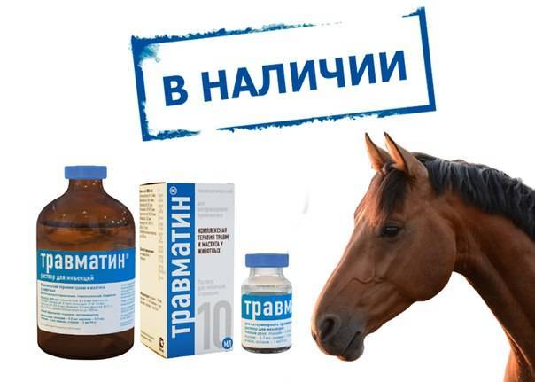 Как помогает травматин для кошек