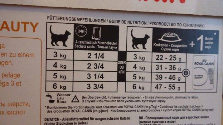 Сколько кормить кота сухим кормом — нормы и число кормлений