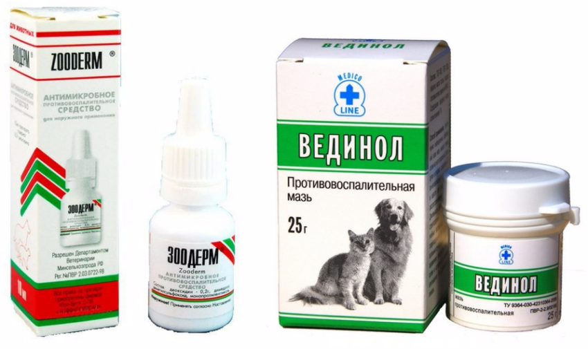Пиодермия у собак: причины, клиническая картина, лечение | блог ветклиники "беланта"
