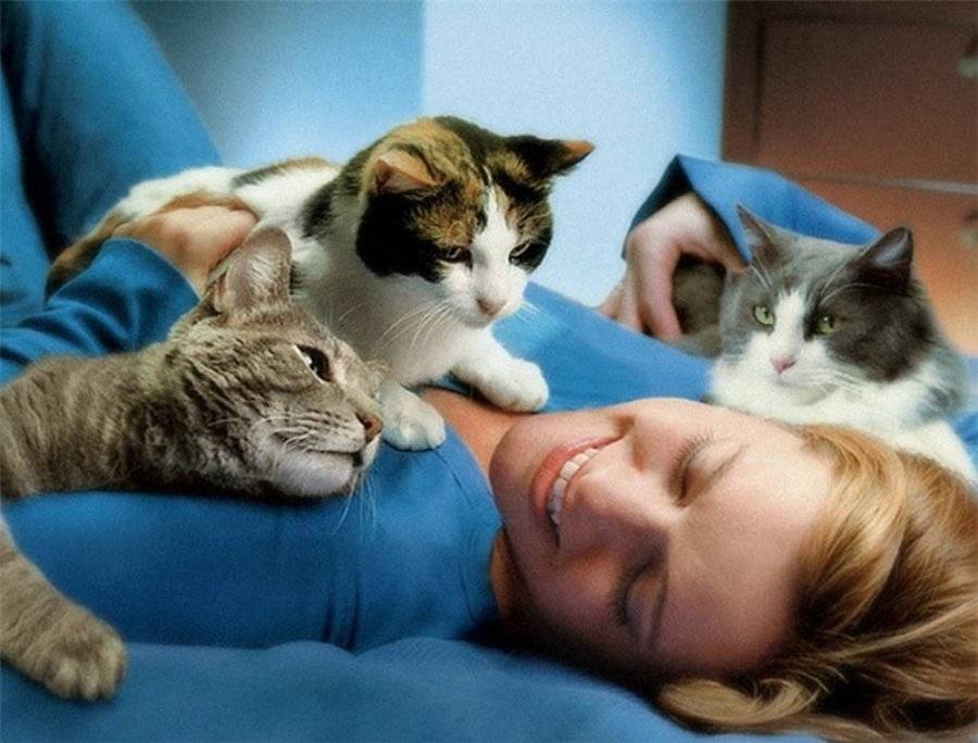 Люди которые любят кошек. психология кошек
люди которые любят кошек. психология кошек