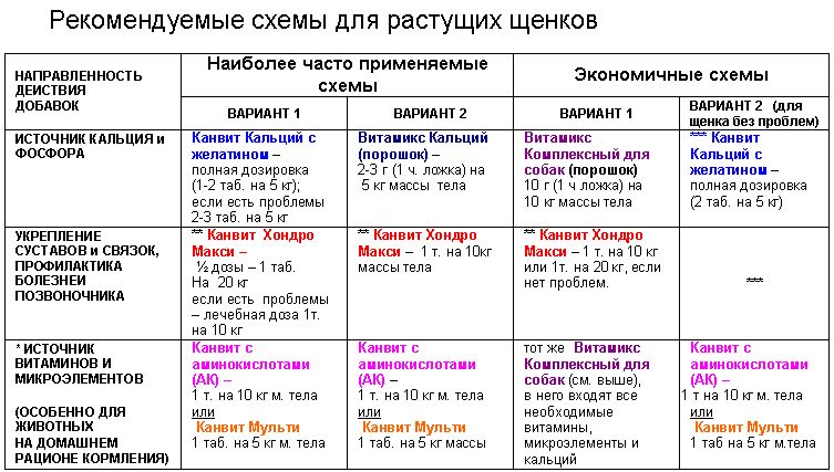 В каком возрасте рекомендуется брать щенка