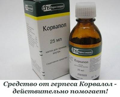 Валерьянка для кошек:  можно ли давать, польза и вред настоя
