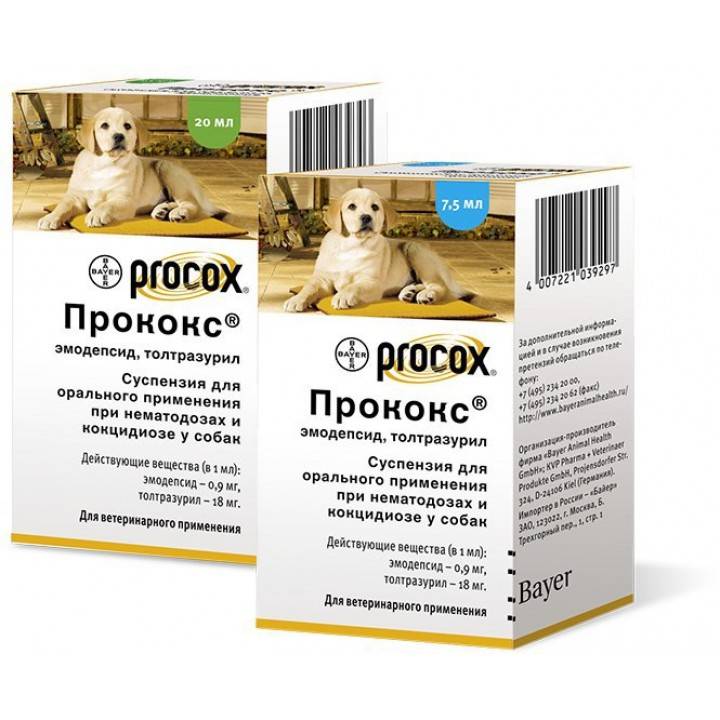 Прококс для собак — инструкция по применению